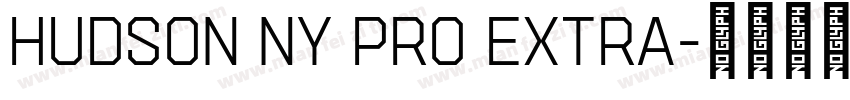 Hudson NY Pro Extra字体转换